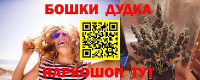 мяу мяу мука Баксан