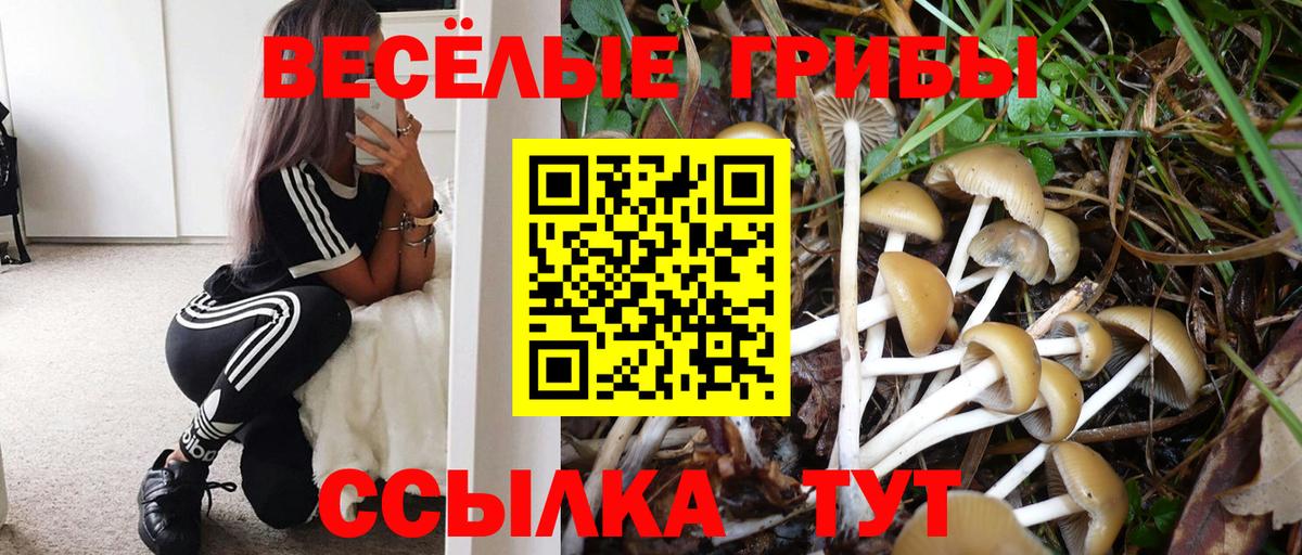 Баксан  Галлюциногенные грибы Magic Shrooms  Вход с VPN 
